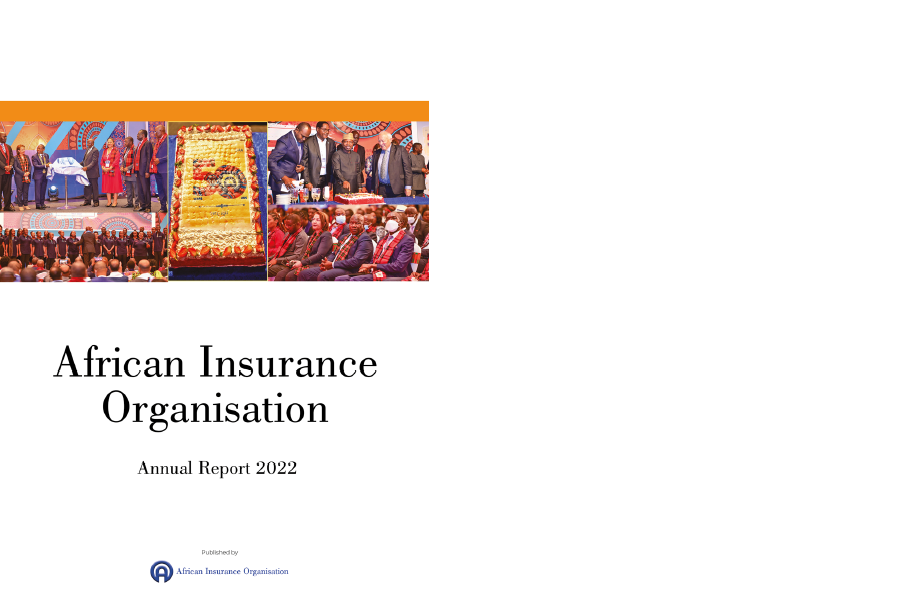 AIO Annual Report 2022