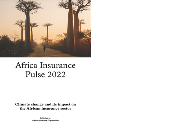 Africa Insurance Pulse 2022
